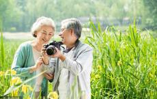 
                    “银发族”旅行消费能力不容小觑 越来越多“银发族”正在拥抱互联网
                
                 
    