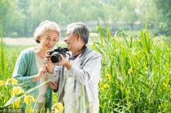 
                    “银发族”旅行消费能力不容小觑 越来越多“银发族”正在拥抱互联网
                
                 
    