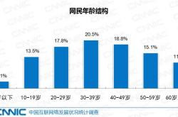 触不及的“网瘾中老年”