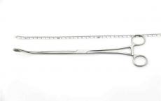 有哪些鲜为人知的疾病？该如何预防？