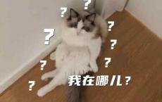 人老了忘性大？警惕老年人健康的隐形杀手阿尔兹海默症