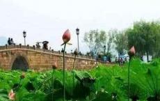 你的老年生活快不快乐,完全取决于这件事！启发百万老人