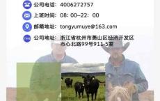 新骗局！黔西南一男子和朋友“网上养牛”被诈骗40万