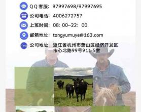 新骗局！黔西南一男子和朋友“网上养牛”被诈骗40万