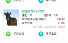 700万元“云养牛”，养了个寂寞