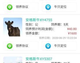 700万元“云养牛”，养了个寂寞