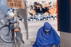 有个叫妞妞的孩子要回家
