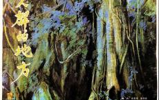 【国产老电影】远离人群的地方 阿里云盘分享