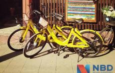 欠厂家的钱，ofo三个月还了3500万，你离退押金还有多久？