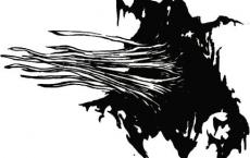 克苏鲁神话-下位仆种族图鉴