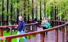 我国银发经济规模已超5万亿，“夕阳红”催生“朝阳”市场