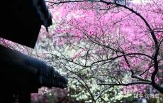 人到中年，只有看淡一些东西，才能拥有美好的余生