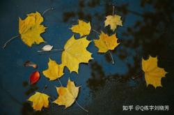 中年人的“孤独”与“独而不孤”