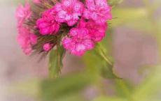 人到中年,男人真正渴望的夫妻生活,其实是这样的