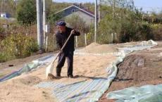 农村劳动力老龄化凸显，未来农村谁来种地