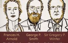 超硬核人生：丧夫丧子得癌症，都挡不住她拿诺奖！