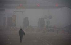 【每日签到】20181016