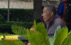 他们专盯老人下手！12天，21岁女孩诈骗300多万元