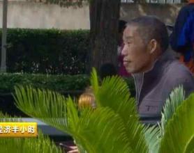 他们专盯老人下手！12天，21岁女孩诈骗300多万元