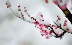 冬季养生原则：吃好3样，喝好3样，做好3样！