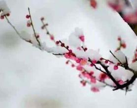 冬季养生原则：吃好3样，喝好3样，做好3样！