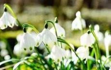 人到老年，该如何生活？