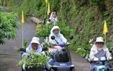 日本山村老人“靠山吃山” 别样方法应对老龄化