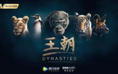 历时四年 王朝BBC横空出世 豆瓣9.7分