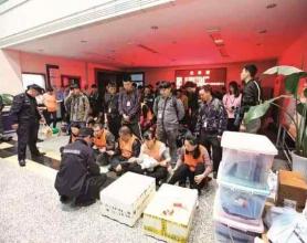 10亿元惊天诈骗案：神药成分为糖，每粒成本2元，每盒要价40万！