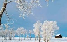 【每日签到】20190104