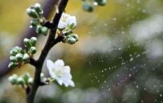 【每日签到】20190302