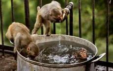 【每日签到】20180718