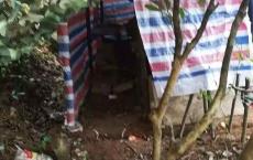 电信诈骗犯：你对我的“努力”一无所知