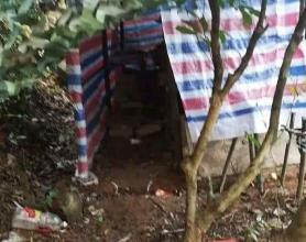 电信诈骗犯：你对我的“努力”一无所知