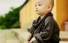 低级的欲望通过放纵就可以得到，高级的欲望却通过克制才能够获得。