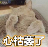 老人留下录音遗嘱,一套房子给孙子,为何法院判为无效?