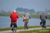 中国老龄人口将超1/3，真相可能比想象更残忍