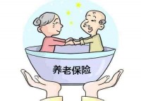 个人怎么交养老保险？