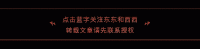 默克尔正式退休,感叹再不从政,回家第一件事你想象不到……
