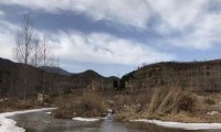 老人说：今年是：双金过二九，旱到小寒中，后日二九，有啥预兆