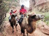 “银发族”旅游既要满足需要更要注重安全