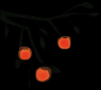 二舅们负重前行   周劼们岁月静好