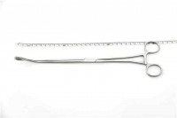 有哪些鲜为人知的疾病？该如何预防？