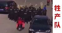 纪委介入!暴抢老人甘蔗,算什么“市容管理”?