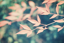 东莞感情咨询中年妇女出轨,东莞婚姻情感热线,婚姻问题如何挽回