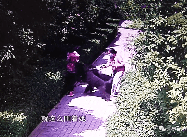 安阳王某刚火了！其妻李某迎曾因借贷被法院查封名下三套房产