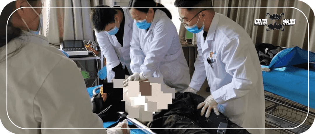 外卖小哥救老人却双双遇难,后续让我哭了